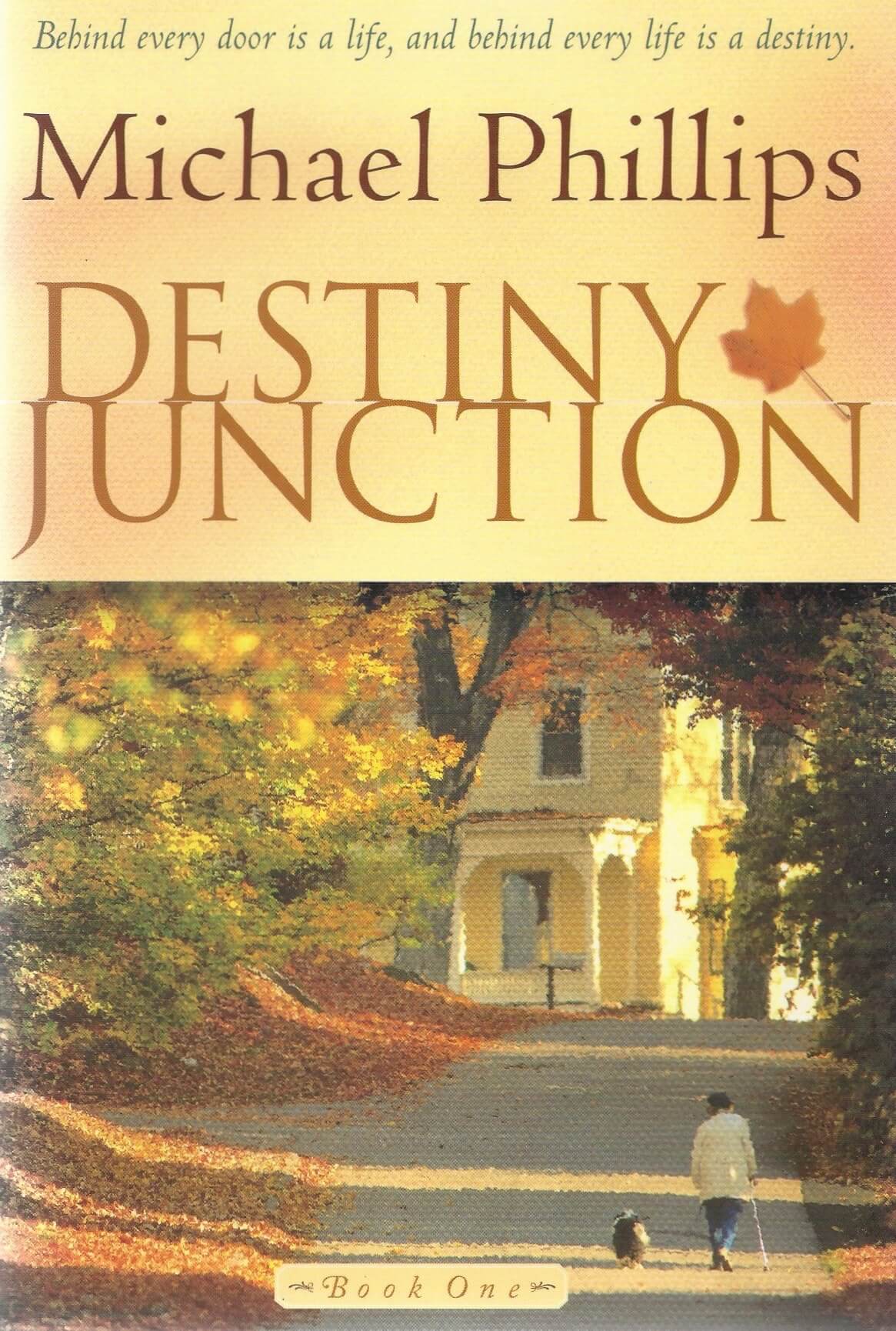 Destiny Junction Series by Michael Phillips